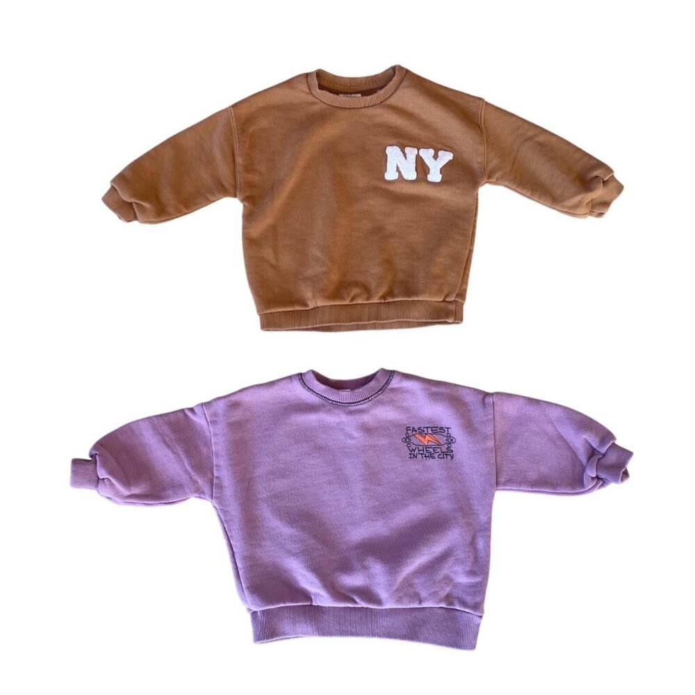 9-12M Zara Sweatshirt Bundle Boys Unisex